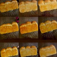 九食九色🍞𝟛